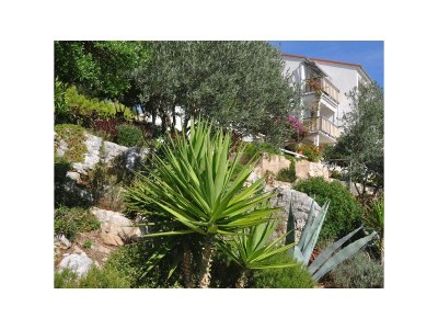 Apartment Studio flat with balcony and sea view Pasadur, Lastovo AS-8351-a - Outdoor photo 6