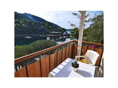 Apartment Studio flat with balcony and sea view Pasadur, Lastovo AS-8351-b in Lastovo - Apartment