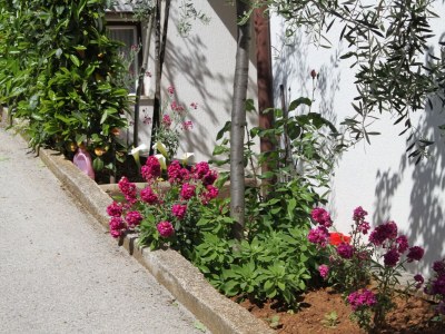 Apartment One bedroom apartment with terrace Pula A-7647-c - Outdoor photo 7