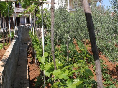 Apartment One bedroom apartment with terrace Pula A-7647-c - Outdoor photo 8