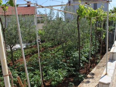 Apartment One bedroom apartment with terrace Pula A-7647-c - Outdoor photo 9