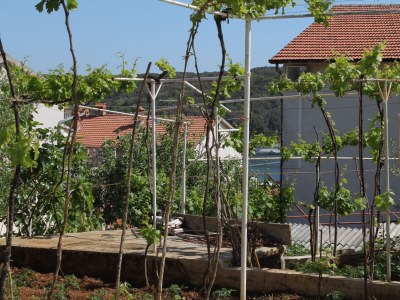 Apartment One bedroom apartment with terrace Pula A-7647-c - Outdoor photo 23