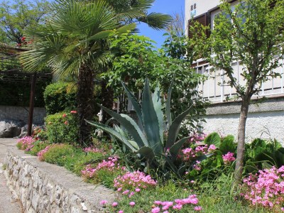 Apartment Two bedroom apartment with terrace Oprič, Opatija A-7715-a - Outdoor photo 4