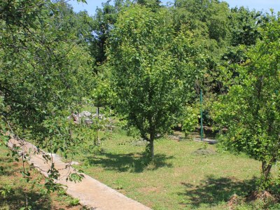 Apartment Two bedroom apartment with terrace Oprič, Opatija A-7715-a - Outdoor photo 6