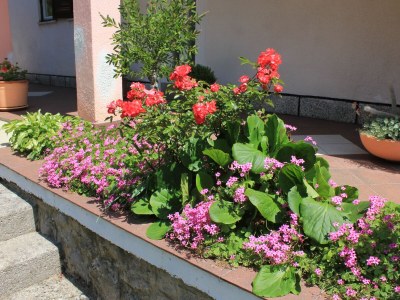 Apartment Two bedroom apartment with terrace Oprič, Opatija A-7715-a - Outdoor photo 10