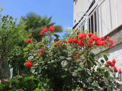 Apartment Two bedroom apartment with terrace Oprič, Opatija A-7715-a - Outdoor photo 11