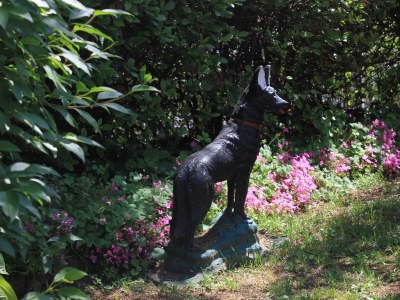 Apartment Two bedroom apartment with terrace Oprič, Opatija A-7715-a - Outdoor photo 12