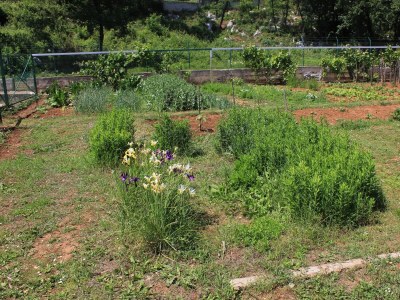 Apartment Two bedroom apartment with terrace Oprič, Opatija A-7715-a - Outdoor photo 13