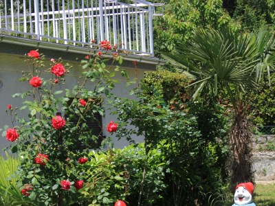 Apartment Two bedroom apartment with terrace Oprič, Opatija A-7715-a - Outdoor photo 18