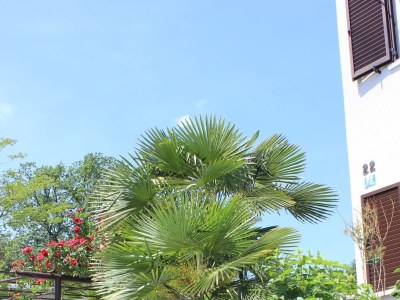 Apartment Two bedroom apartment with terrace Oprič, Opatija A-7715-a - Outdoor photo 19