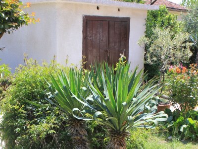 Apartment Two bedroom apartment with terrace Oprič, Opatija A-7715-a - Outdoor photo 20
