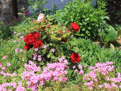 Apartment Two bedroom apartment with terrace Oprič, Opatija A-7715-a - Outdoor photo 21