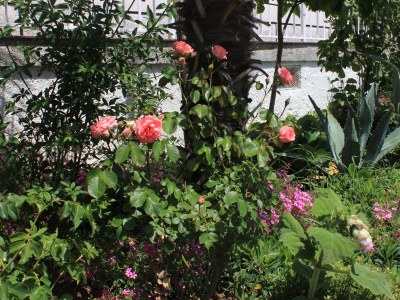 Apartment Two bedroom apartment with terrace Oprič, Opatija A-7715-a - Outdoor photo 22