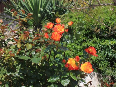 Apartment Two bedroom apartment with terrace Oprič, Opatija A-7715-a - Outdoor photo 23