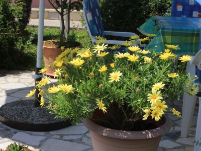 Apartment Two bedroom apartment with terrace Oprič, Opatija A-7715-a - Outdoor photo 26