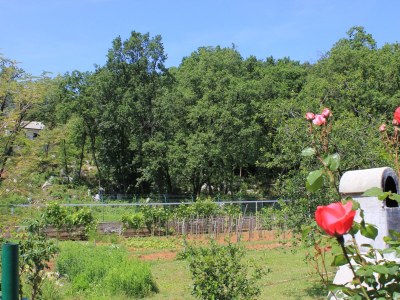 Apartment Two bedroom apartment with terrace Oprič, Opatija A-7715-a - Outdoor photo 48