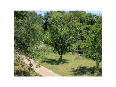 Apartment One bedroom apartment with terrace Oprič, Opatija A-7716-a - Outdoor photo 6