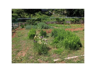 Apartment One bedroom apartment with terrace Oprič, Opatija A-7716-a - Outdoor photo 13