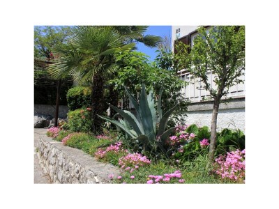 Apartment One bedroom apartment with terrace Oprič, Opatija A-7716-b - Outdoor photo 3