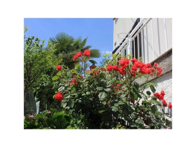 Apartment One bedroom apartment with terrace Oprič, Opatija A-7716-b - Outdoor photo 10