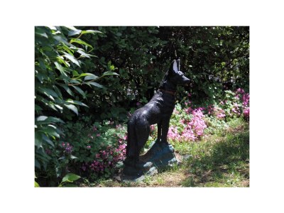 Apartment One bedroom apartment with terrace Oprič, Opatija A-7716-b - Outdoor photo 11