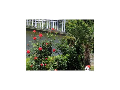 Apartment One bedroom apartment with terrace Oprič, Opatija A-7716-b - Outdoor photo 17