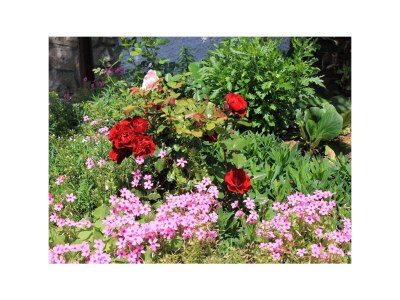 Apartment One bedroom apartment with terrace Oprič, Opatija A-7716-b - Outdoor photo 20