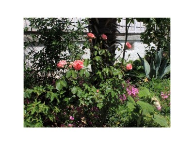 Apartment One bedroom apartment with terrace Oprič, Opatija A-7716-b - Outdoor photo 21