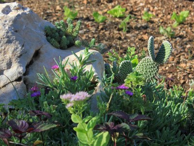 Apartment One bedroom apartment with terrace and sea view Okrug Gornji, Čiovo A-8440-c - Outdoor photo 7
