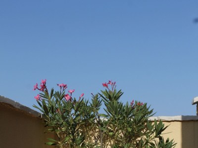 Apartment One bedroom apartment with terrace and sea view Neviđane, Pašman A-8453-c - Outdoor photo 10