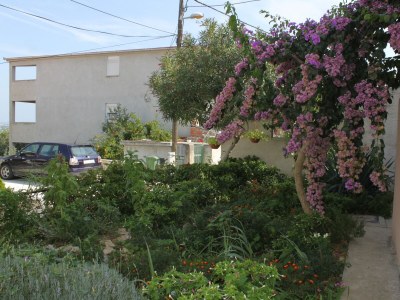 Apartment Two bedroom apartment with terrace and sea view Tkon, Pašman A-8455-a - Outdoor photo 9