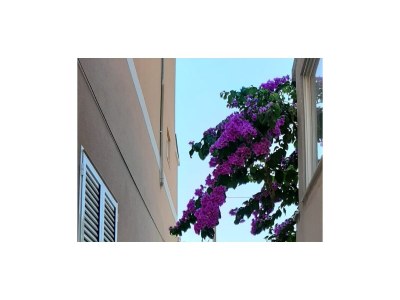 Apartment Two bedroom apartment with terrace and sea view Tkon, Pašman A-8455-a - Outdoor photo 10