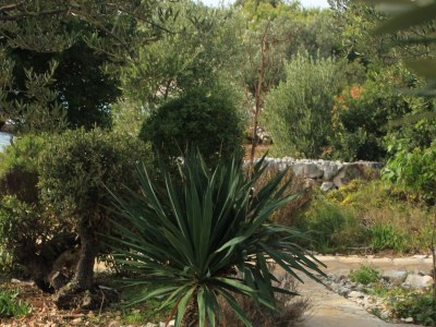 Holiday house Three bedroom house near beach Cove Vitane, Pašman K-8483 - Outdoor photo 12