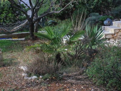 Holiday house One bedroom house near beach Cove Vitane, Pašman K-8484 - Outdoor photo 5