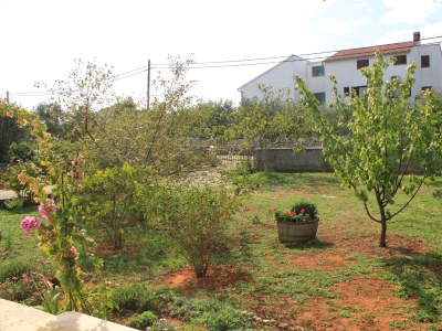 Apartment Three bedroom apartment with terrace and sea view Ugljan A-8493-a - Outdoor photo 8