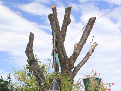 Apartment Three bedroom apartment with terrace and sea view Ugljan A-8493-a - Outdoor photo 10