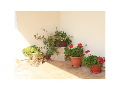 Apartment Three bedroom apartment with terrace and sea view Ugljan A-8493-a - Outdoor photo 16