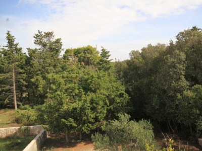 Apartment Three bedroom apartment with terrace and sea view Ugljan A-8493-a - Outdoor photo 39