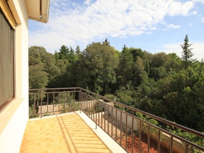 Apartment Three bedroom apartment with terrace and sea view Ugljan A-8493-a - Outdoor photo 44