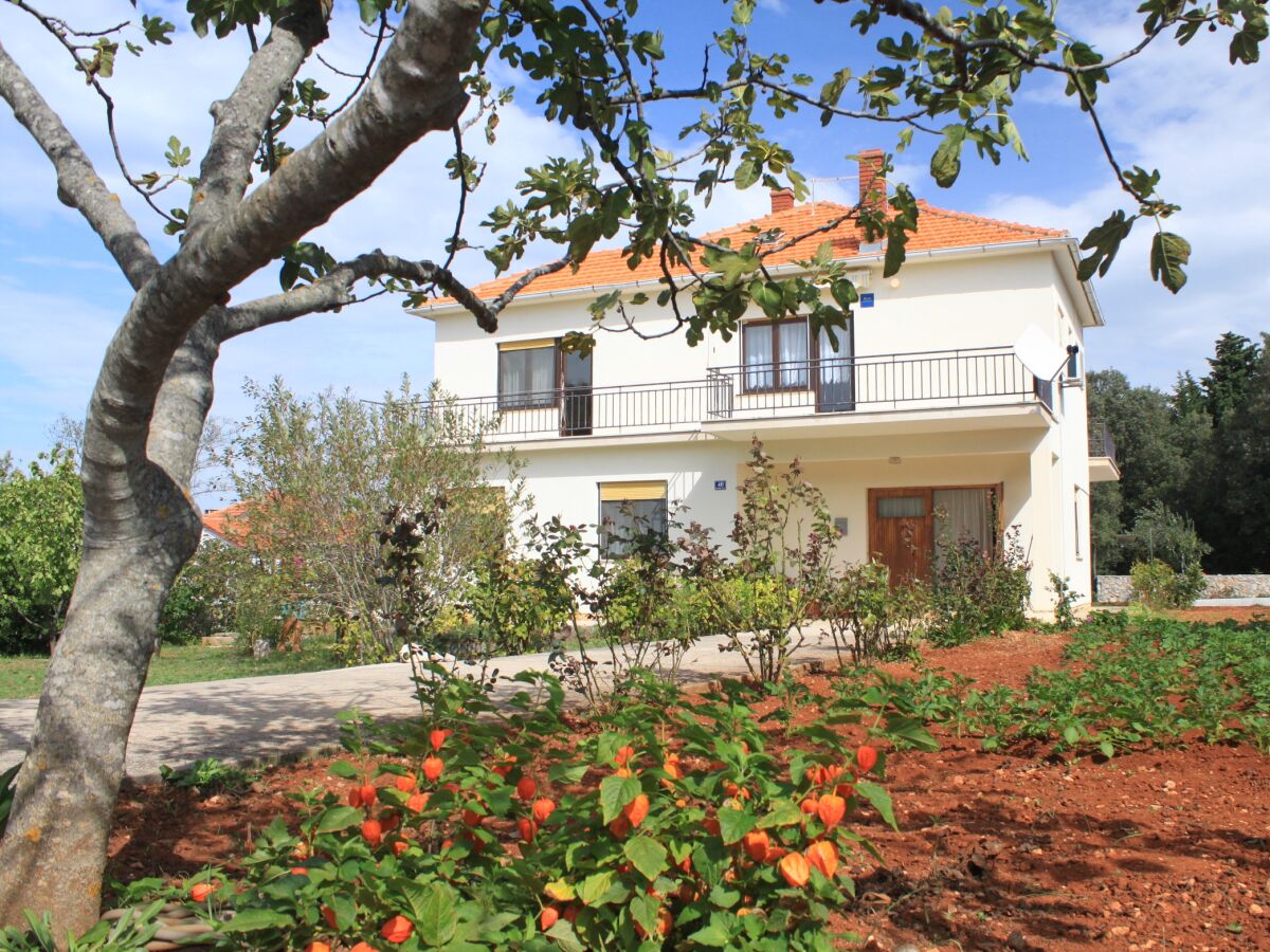 Apartment One bedroom apartment with terrace Ugljan A-8493-b - Outdoor photo 5