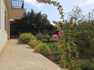 Apartment One bedroom apartment with terrace Ugljan A-8493-b - Outdoor photo 8