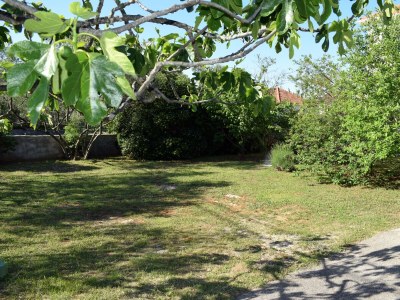 Apartment One bedroom apartment with terrace Ugljan A-8493-b - Outdoor photo 17