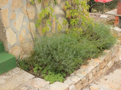 Holiday house Four-bedroom house near beach Cove Lađin - Lanđin, Pašman K-8500 - Outdoor photo 10