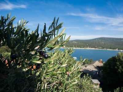 Holiday house Four-bedroom house near beach Cove Lađin - Lanđin, Pašman K-8500 - Outdoor photo 40