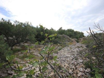 Holiday house Four-bedroom house near beach Cove Lađin - Lanđin, Pašman K-8500 - Outdoor photo 48