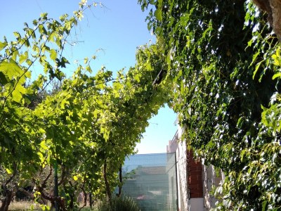 Apartment One bedroom apartment with terrace and sea view Ugljan A-8527-a - Outdoor photo 7