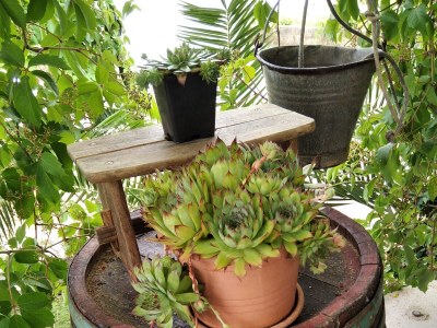 Apartment One bedroom apartment with terrace and sea view Ugljan A-8527-a - Outdoor photo 12