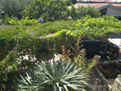 Apartment One bedroom apartment with terrace and sea view Ugljan A-8527-a - Outdoor photo 15