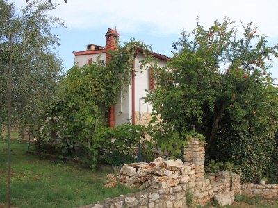 Apartment One bedroom apartment with terrace and sea view Ugljan A-8527-a - Outdoor photo 33