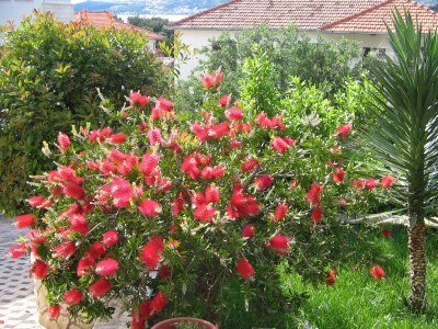 Apartment One bedroom apartment with terrace and sea view Trogir A-8683-a - Outdoor photo 6